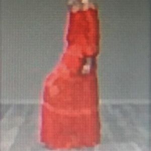 Alexis Cevilla Silk Red/Orange Embroidered Dress